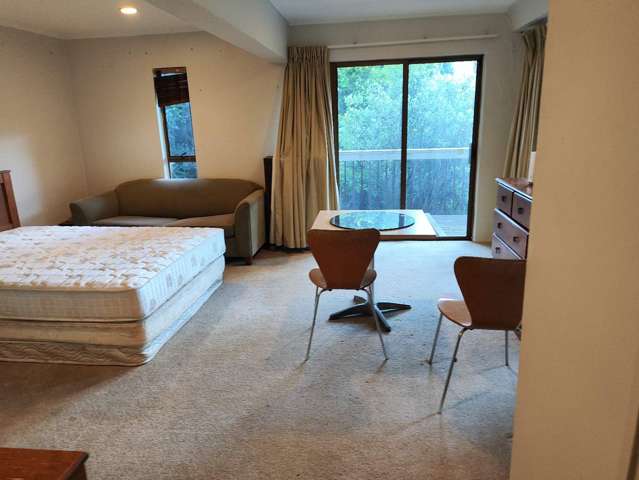 148 Lucerne Road Remuera_4