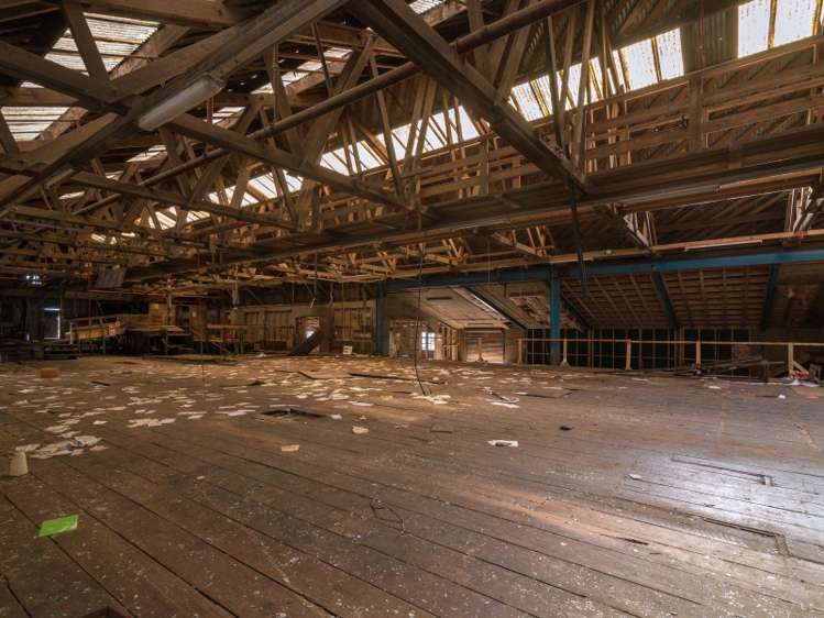 50 Mamaku Street Mamaku_10