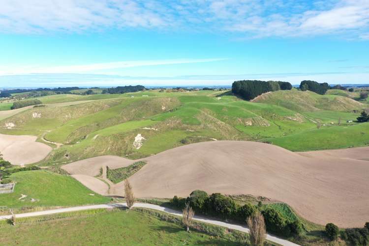 810 Spur Road Ashhurst_10