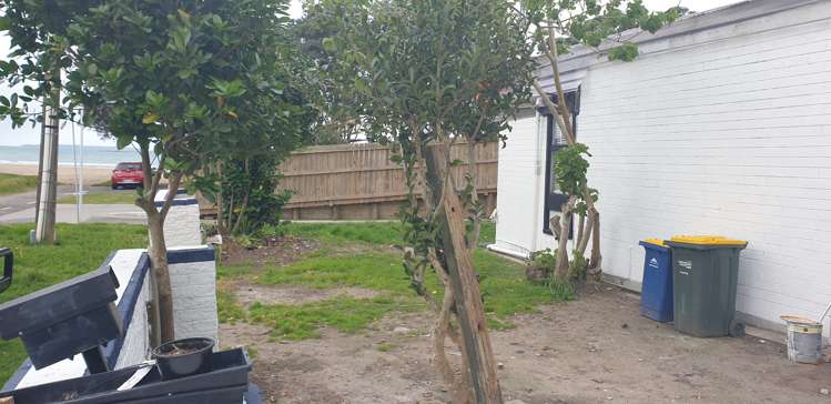 6a Browns Bay Road Rothesay Bay_0