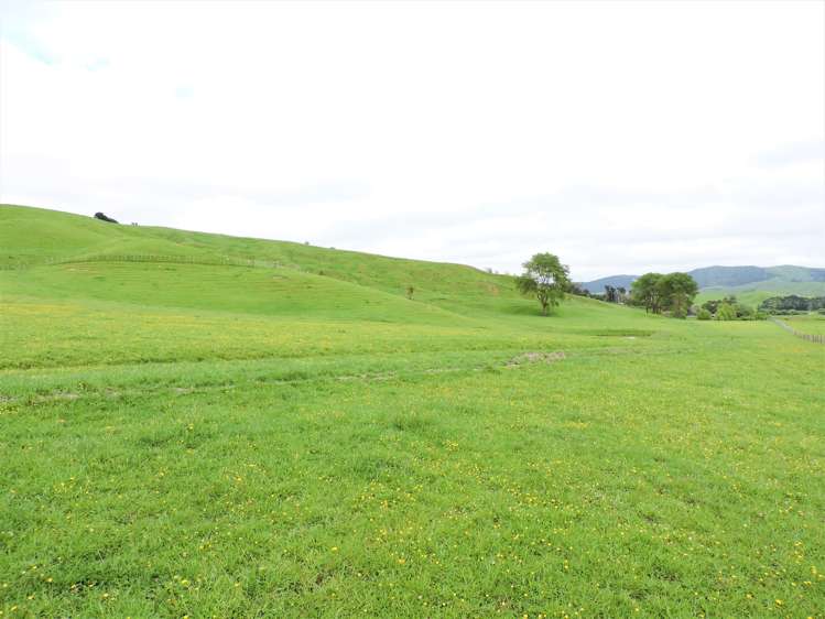 53 Jones Road Porangahau_15