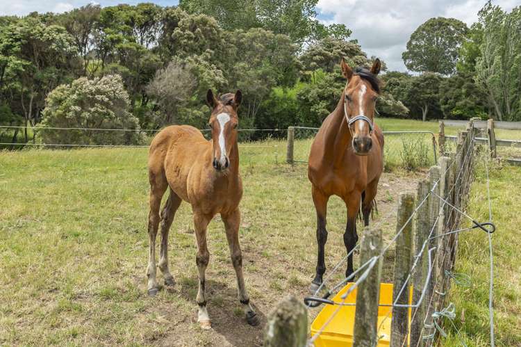 1358 Makirikiri Road Turakina_10