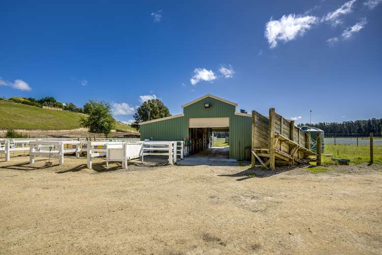 Wheatley Road Waiohiki_4