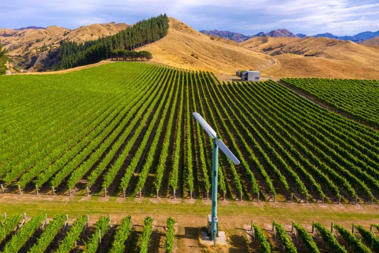 220 Ballochdale Road Awatere Valley_11