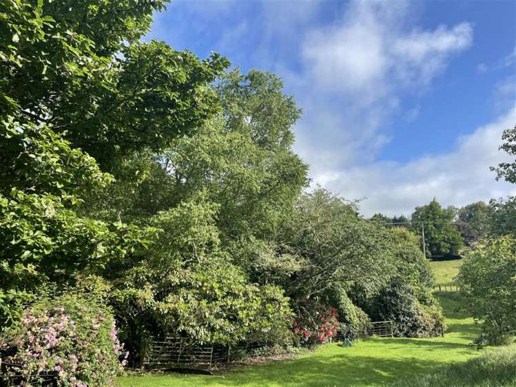 488 Tapuwae Road Benneydale_9