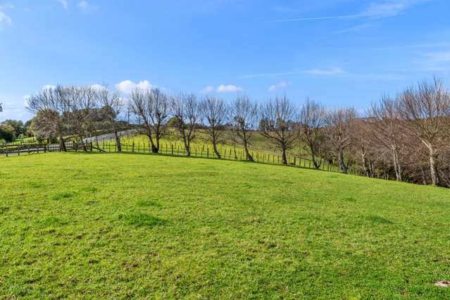 461A Apotu Road Kauri_4