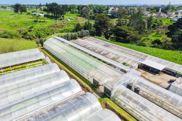 16 Lupton Street Waverley_3