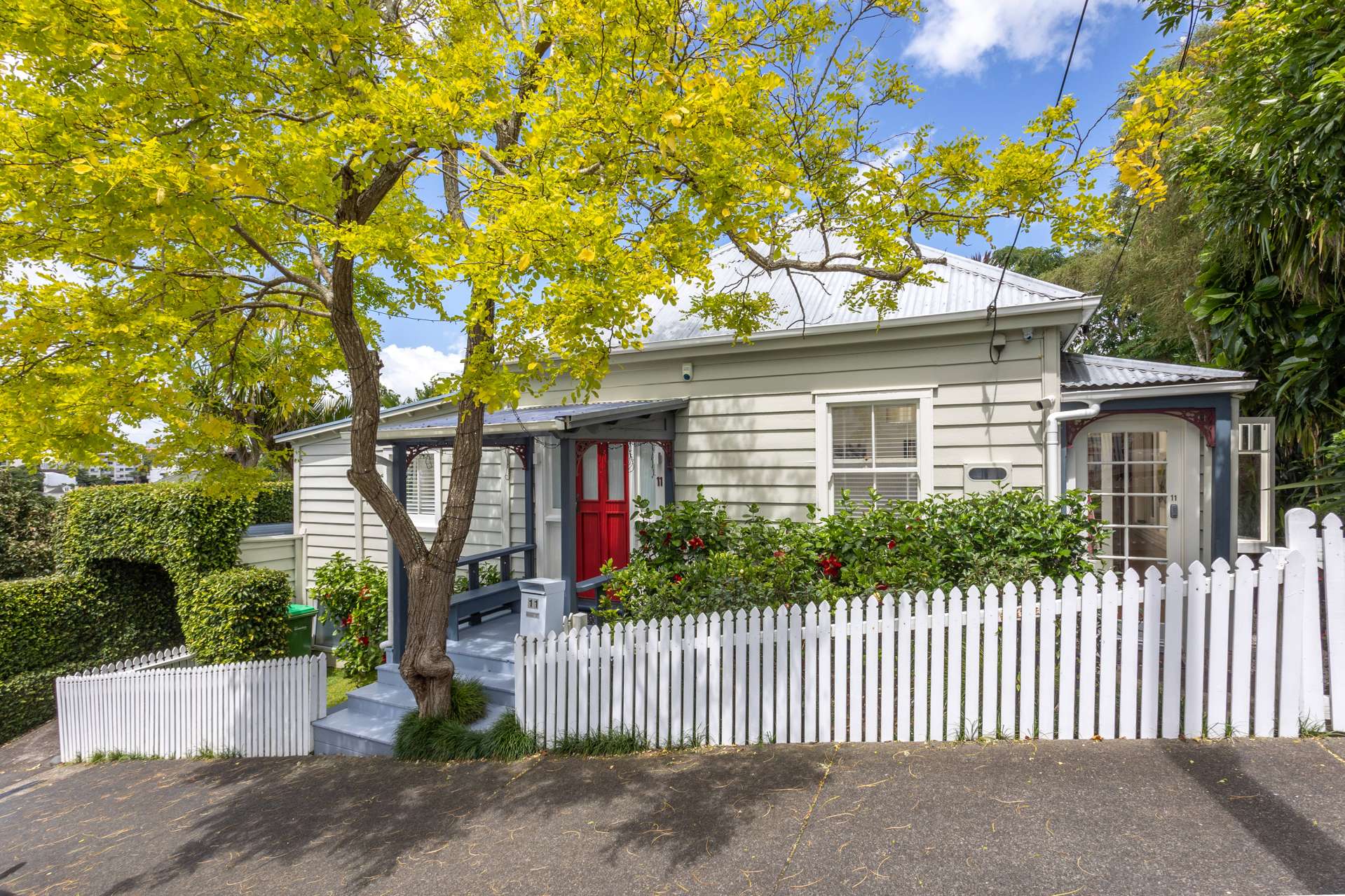 11 Potatau Street Grey Lynn_0