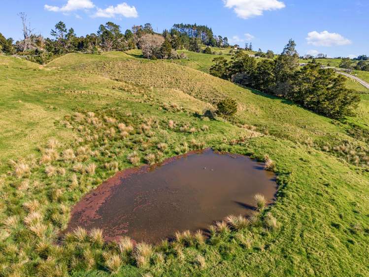 1820 StateHighway 12 Paparoa_25