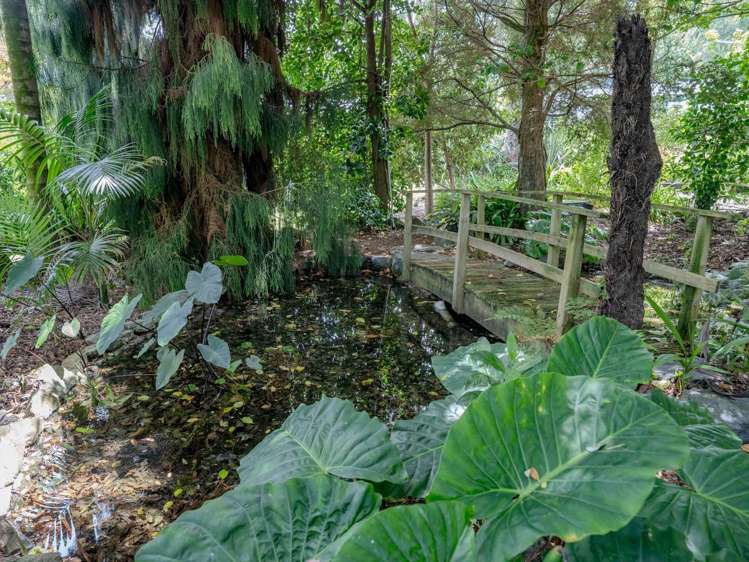 109B Stanners Road Kerikeri_24