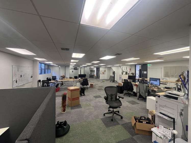 5 Wilkins Street Freemans Bay_7