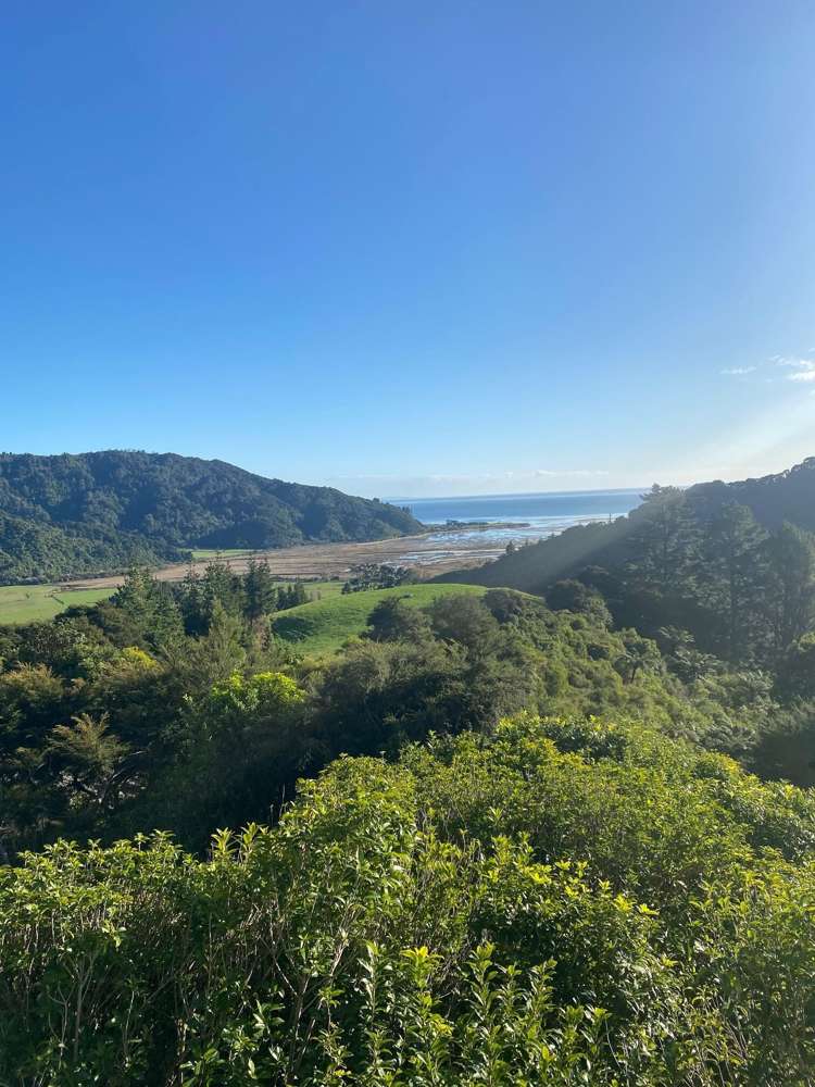 180 Totaranui Road Wainui Bay_14