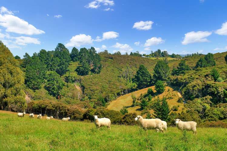 270 Chain Hills Road Chain Hills_36