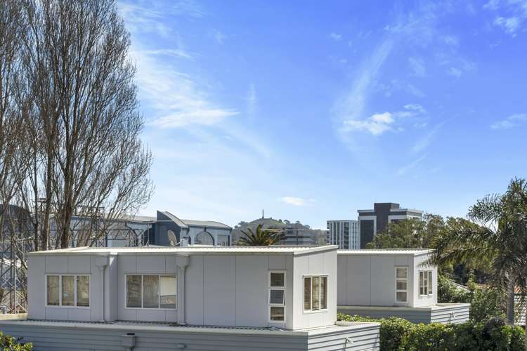 43 Gavin Street Ellerslie_6