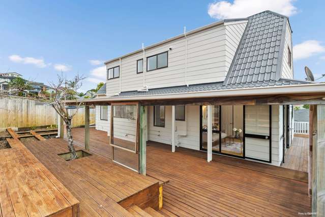 4 Wilde Place Mount Roskill_2