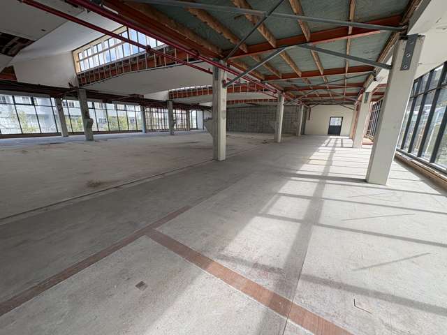 3-5 George Street Thorndon_1