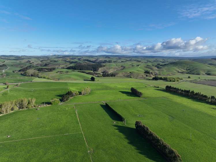 30 Phosphate Road Milton_17