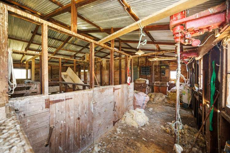 176 Colemans Road Marton_16