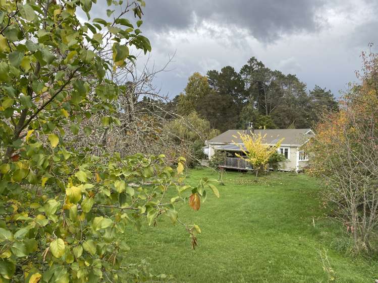 1397 Dovedale Road Thorpe_11