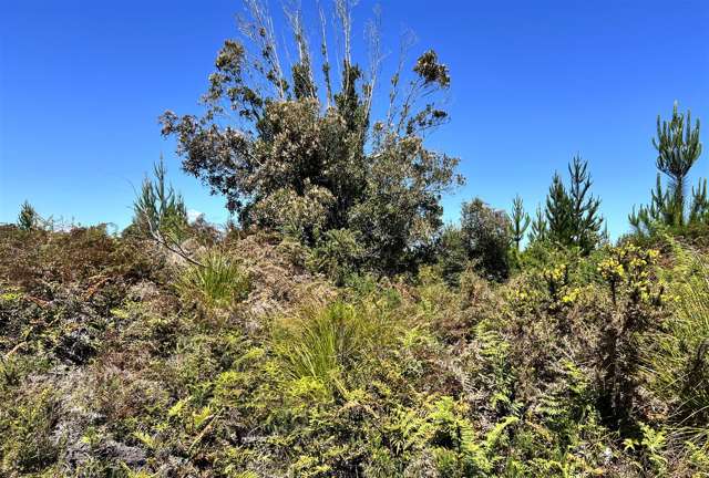 Keogans Road Arahura Valley_2