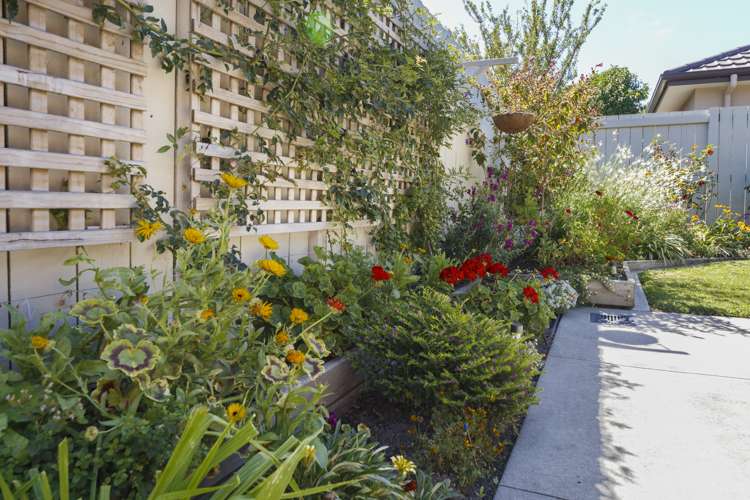 11a Giesen Road Feilding_18