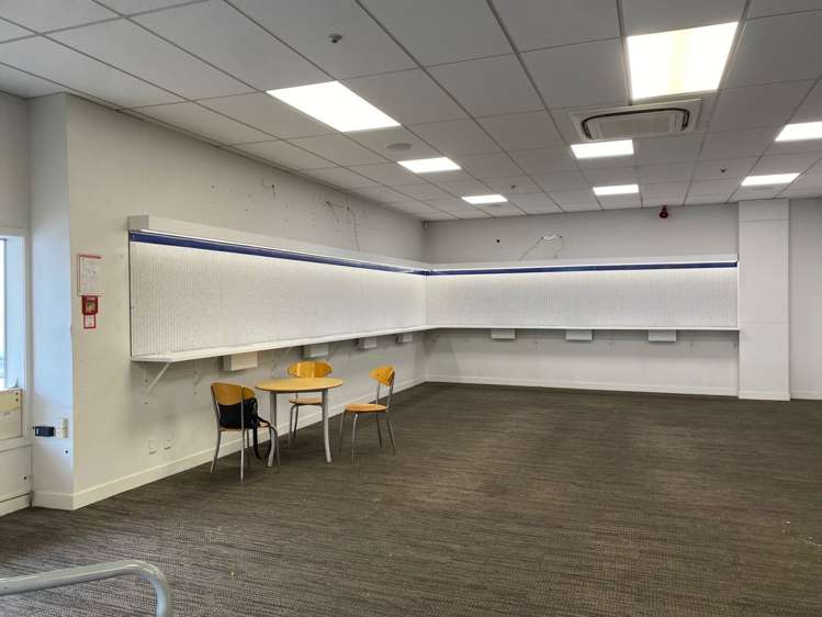 227 Riddiford Street Newtown_3