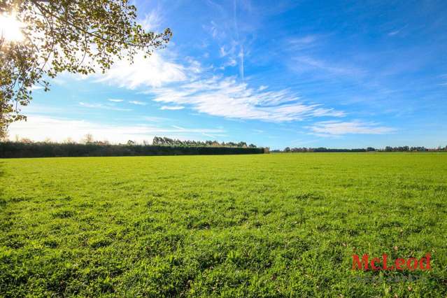 280 Tinwald Westerfield Mayfield Road Tinwald_4