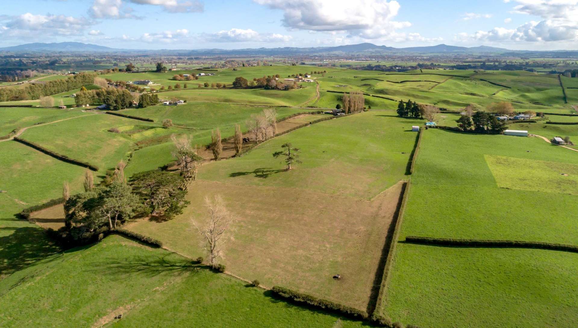 Old Te Aroha Road Te Poi_0