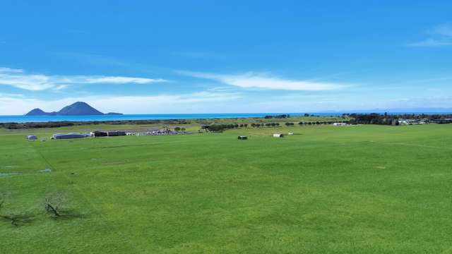 203A Aerodrome Road Thornton_4