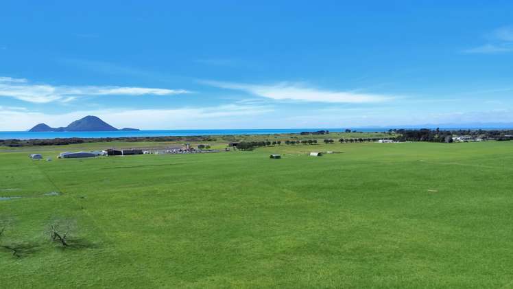 203A Aerodrome Road Thornton_4