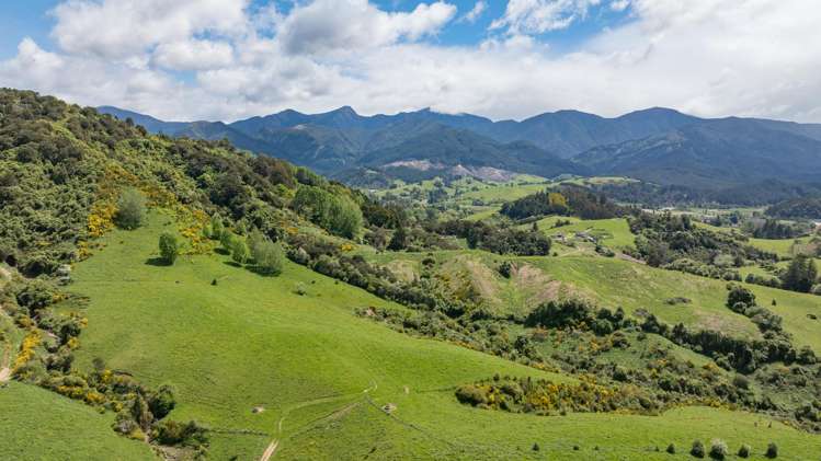 98 Thorpe-Orinoco Road Ngatimoti_21