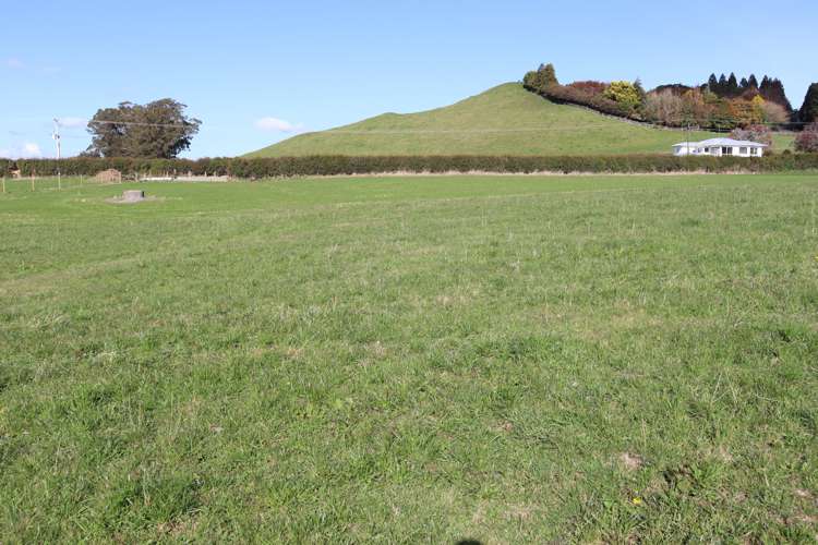 Before 775 Bird Road Pukengahu_4
