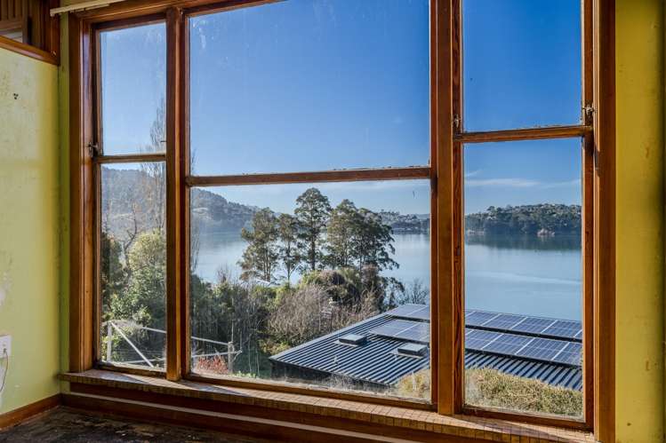 17a Shandon Street Roseneath_6