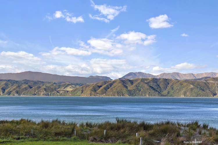 203 Marine Parade Seatoun_7