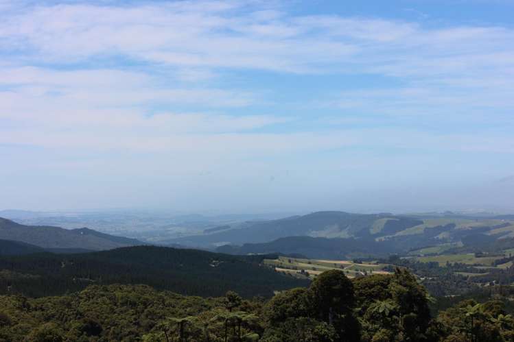 89 Jones Road Donnellys Crossing_18