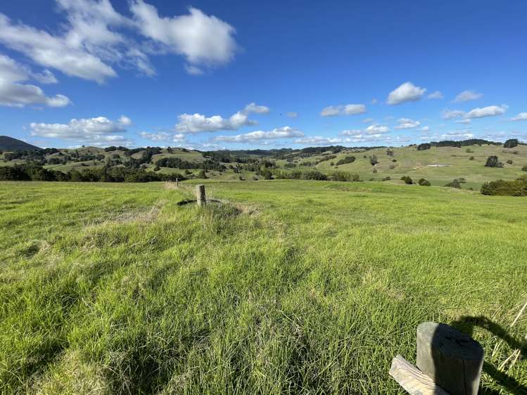 203 Otuhi Road Mangapai and Surrounds_15