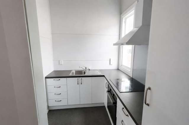 25 Harris Street Kaiti_3