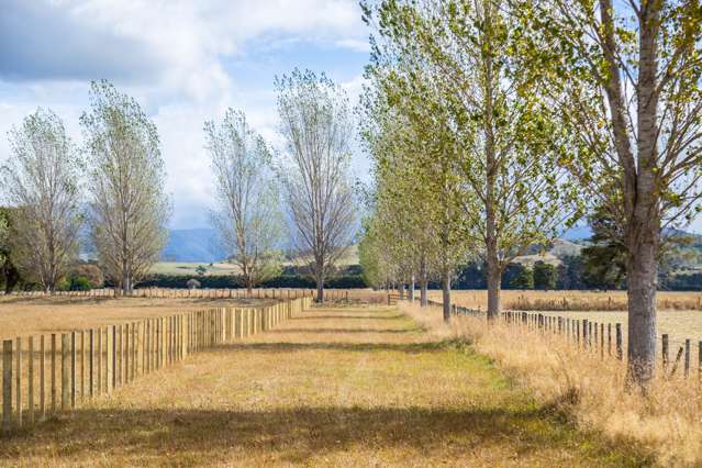 91 Budd Road Masterton_2
