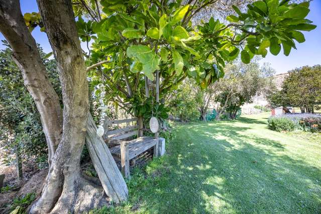 461 Notorious West Road Dargaville Rd1_3