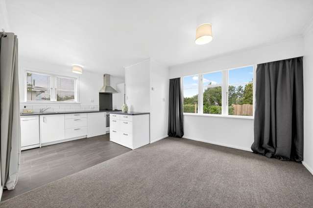 25 Rugby Street Masterton_3