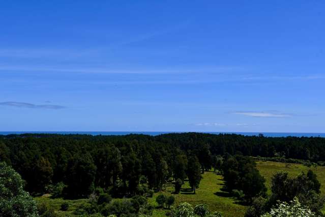 76 Eco Place (Wangapeka Rd) Little Wanganui_3