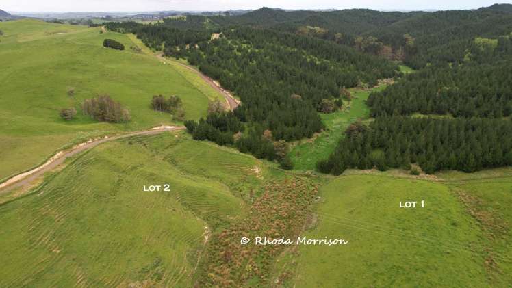 Golden Stairs Rd Maungaturoto_20