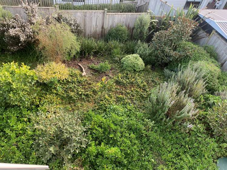 21 Mcquoids Road Flat Bush_25