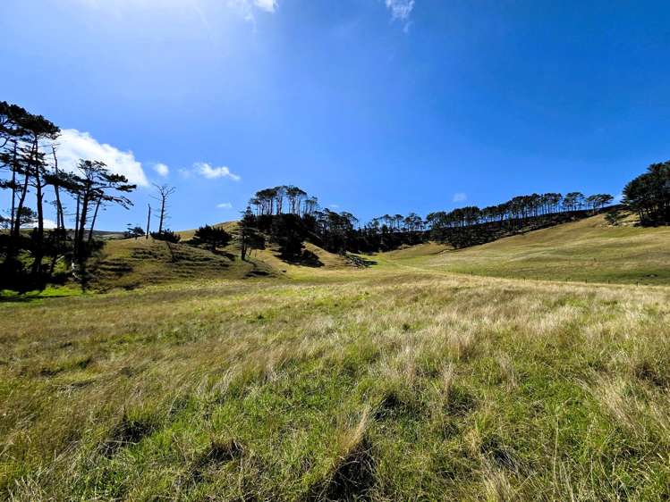 Mount Wesley Coast Road Dargaville_14