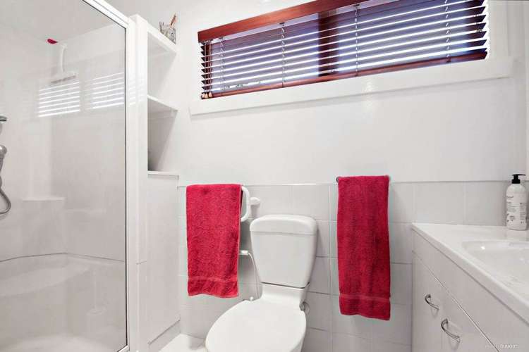 65 Tiverton Road Avondale_9