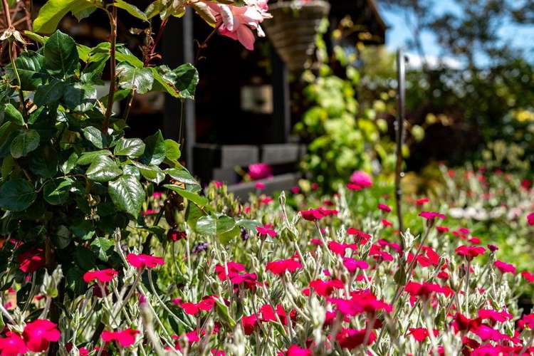 188 Belvedere Road Carterton_15