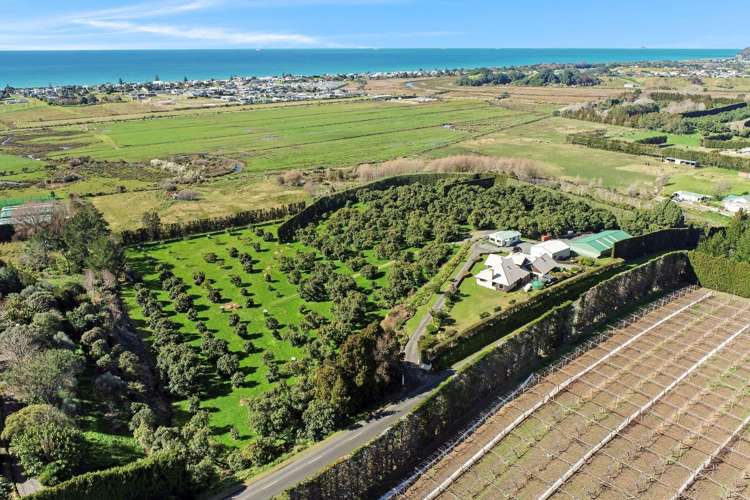 80 Capamagian Drive Waihi Beach_2