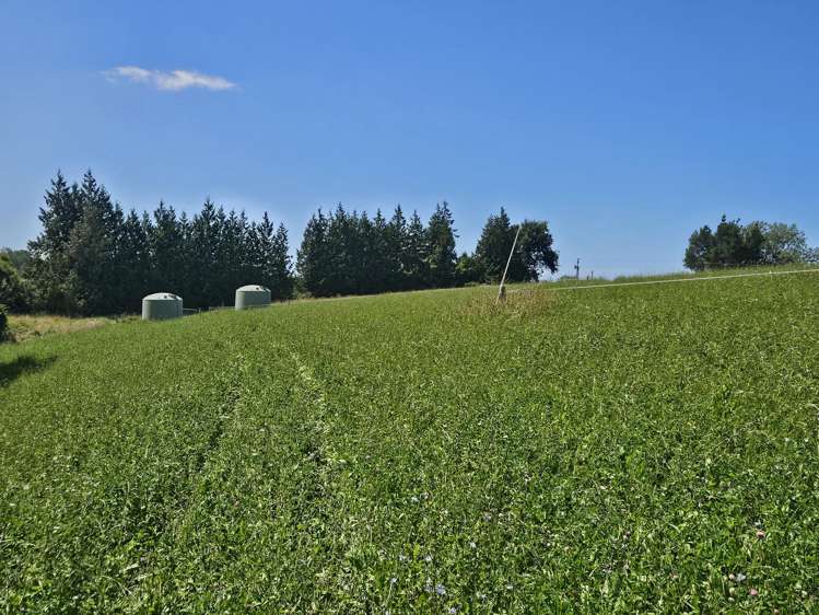 Lot 2 Brownleas Road Waimate_12