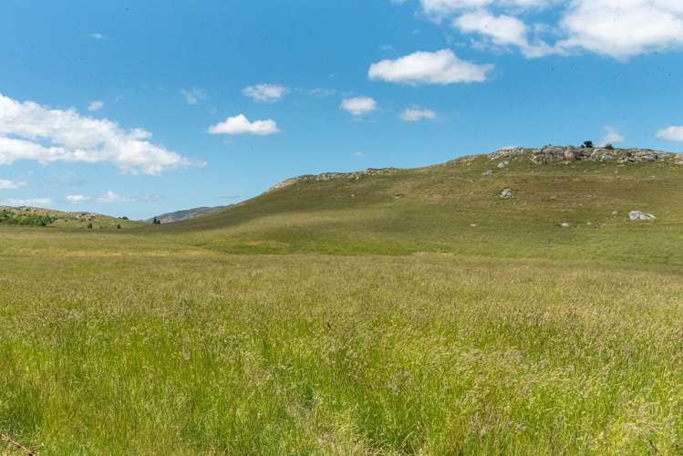 136 Mcraes Road Waikari_13