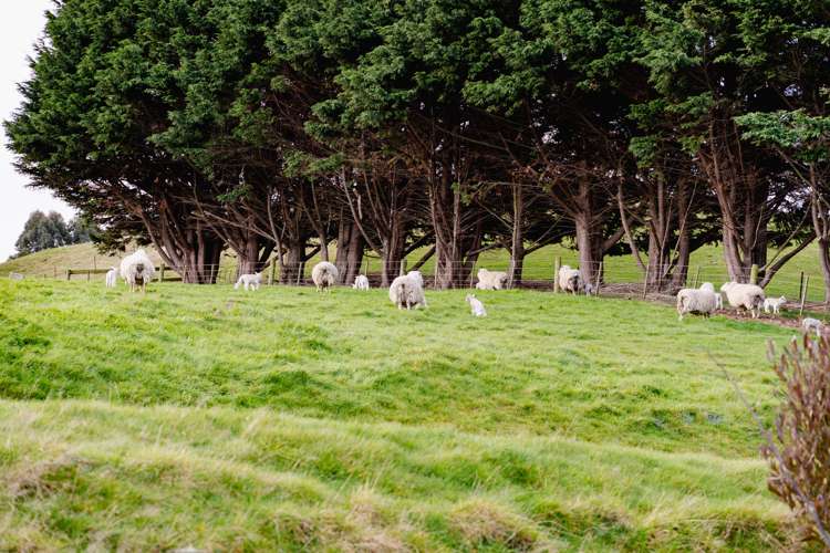 1360 Brighton Road Brighton_24